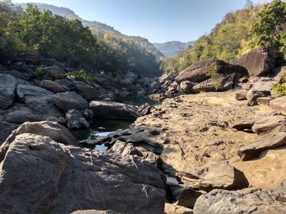 Satpura tiger reserve